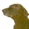 Curly-Coated Retriever 