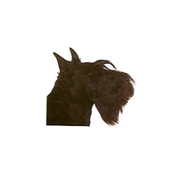 Scottish Terrier